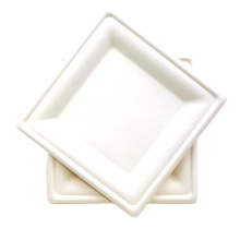 Disposable Biodegradable Bagasse Square Plates Natural Tableware For Restaurant, Party, Wedding